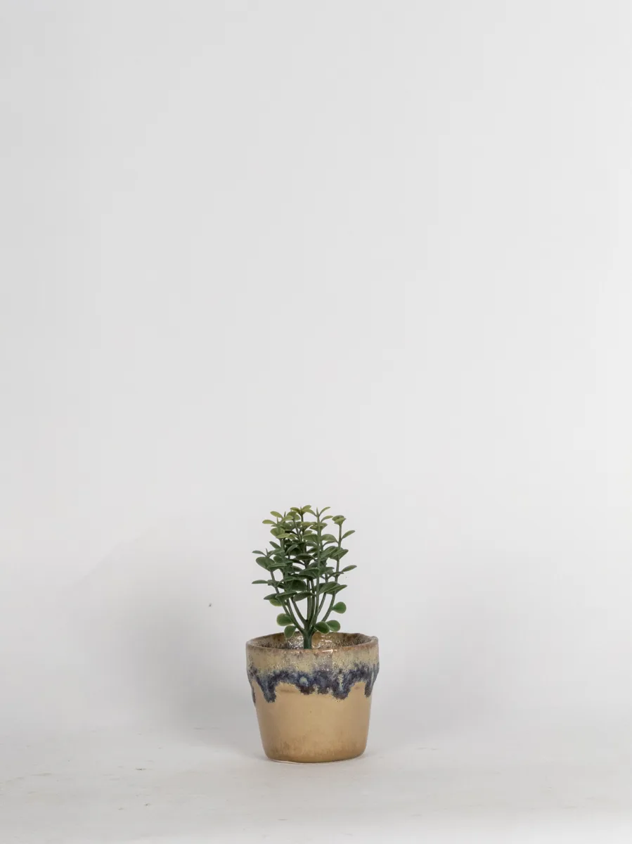 Classic Ceramic Planter — 3.5" Dia — Primary View