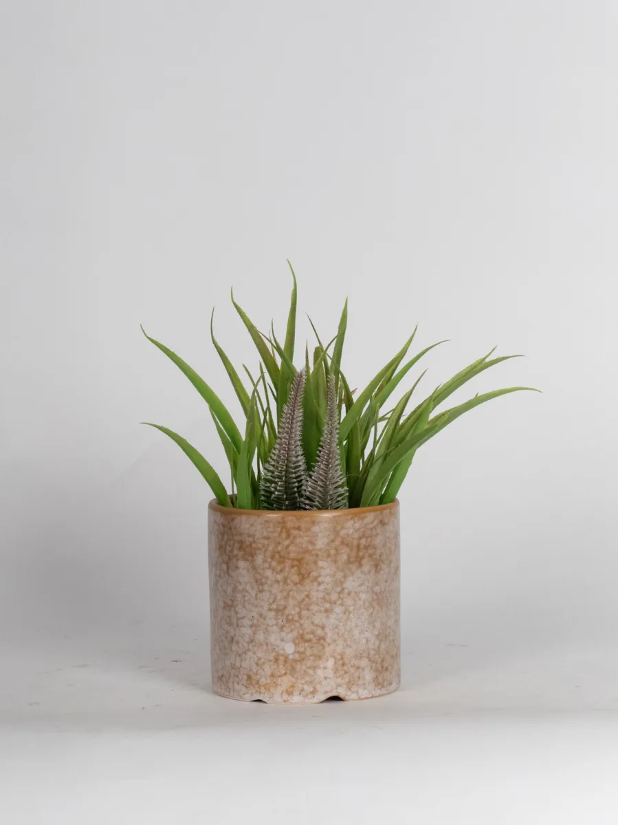 Classic Ceramic Planter — 4.5" Dia — Primary View