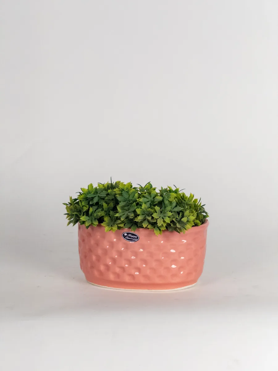 Classic Ceramic Planter — 4.5" Dia — Primary View