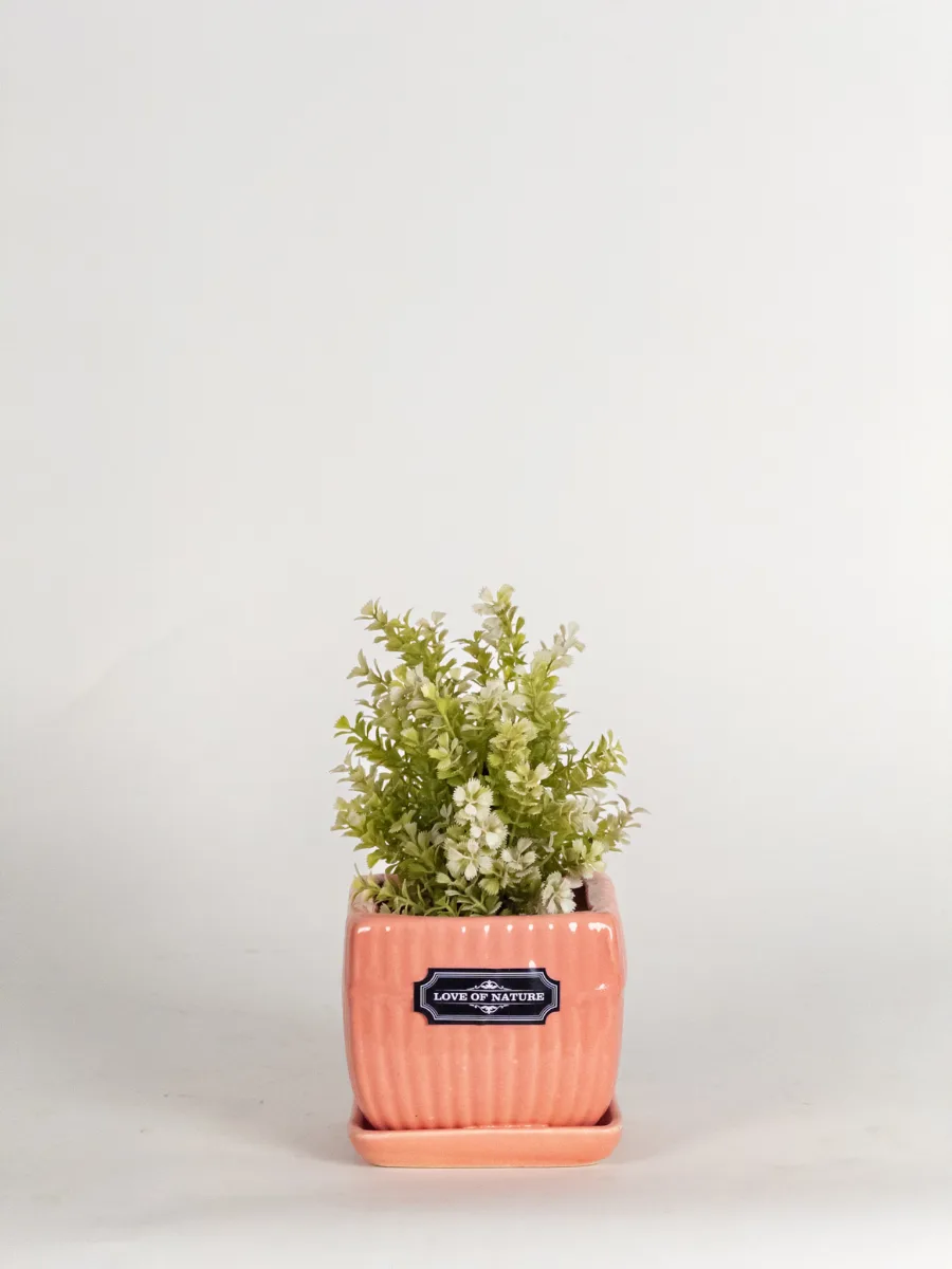 Classic Ceramic Planter — 5" Dia — Primary View