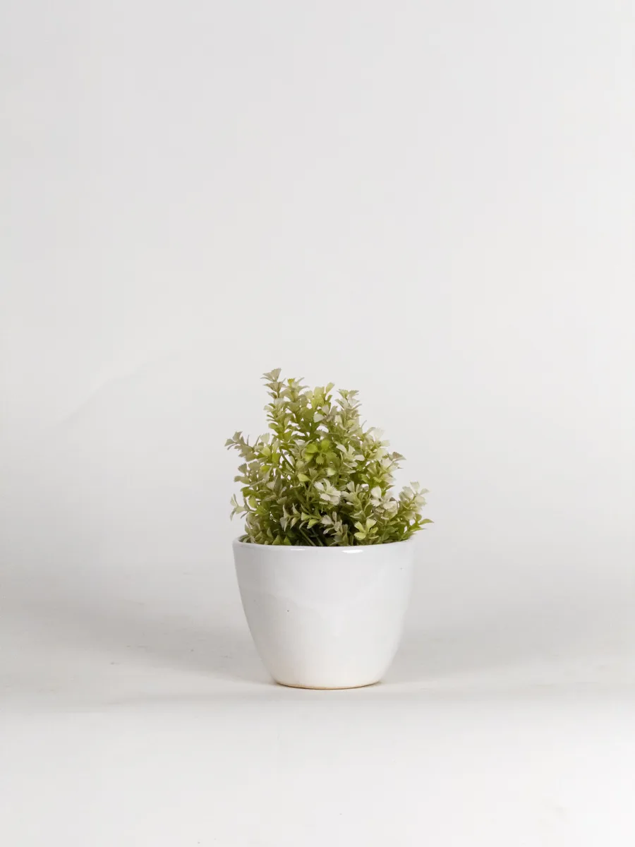 Classic Ceramic Planter — 4" Dia — Primary View