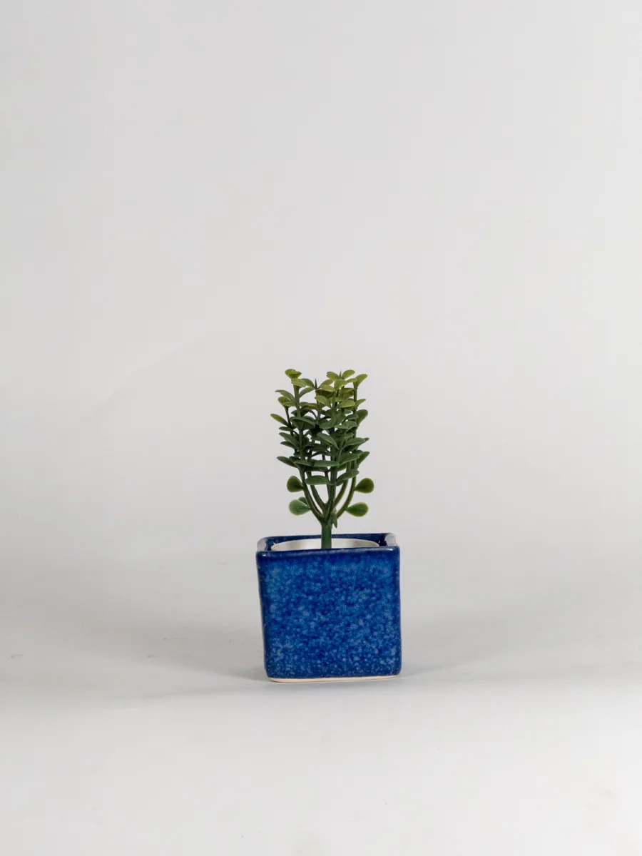 Classic Ceramic Planter — 6.5" Dia × 3" Height — Primary View