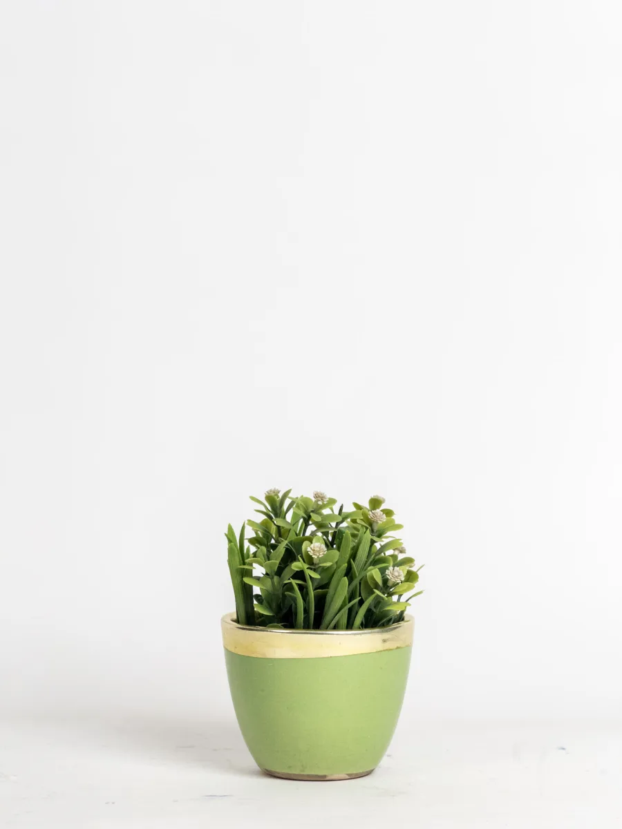 Classic Ceramic Planter — 3.5" Dia × 3.5" Height — Primary View