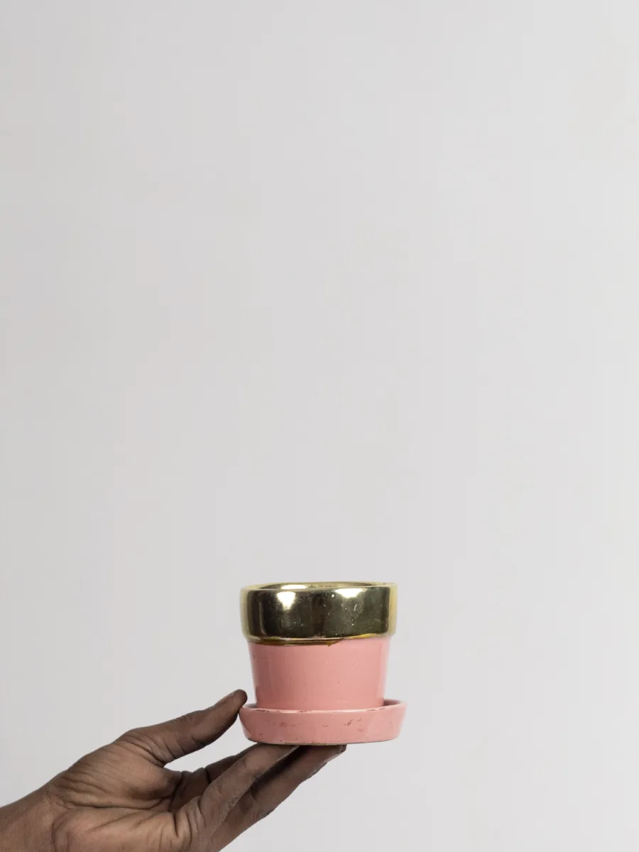 Classic Ceramic Planter — 3.5" Dia × 3" Height — Primary View
