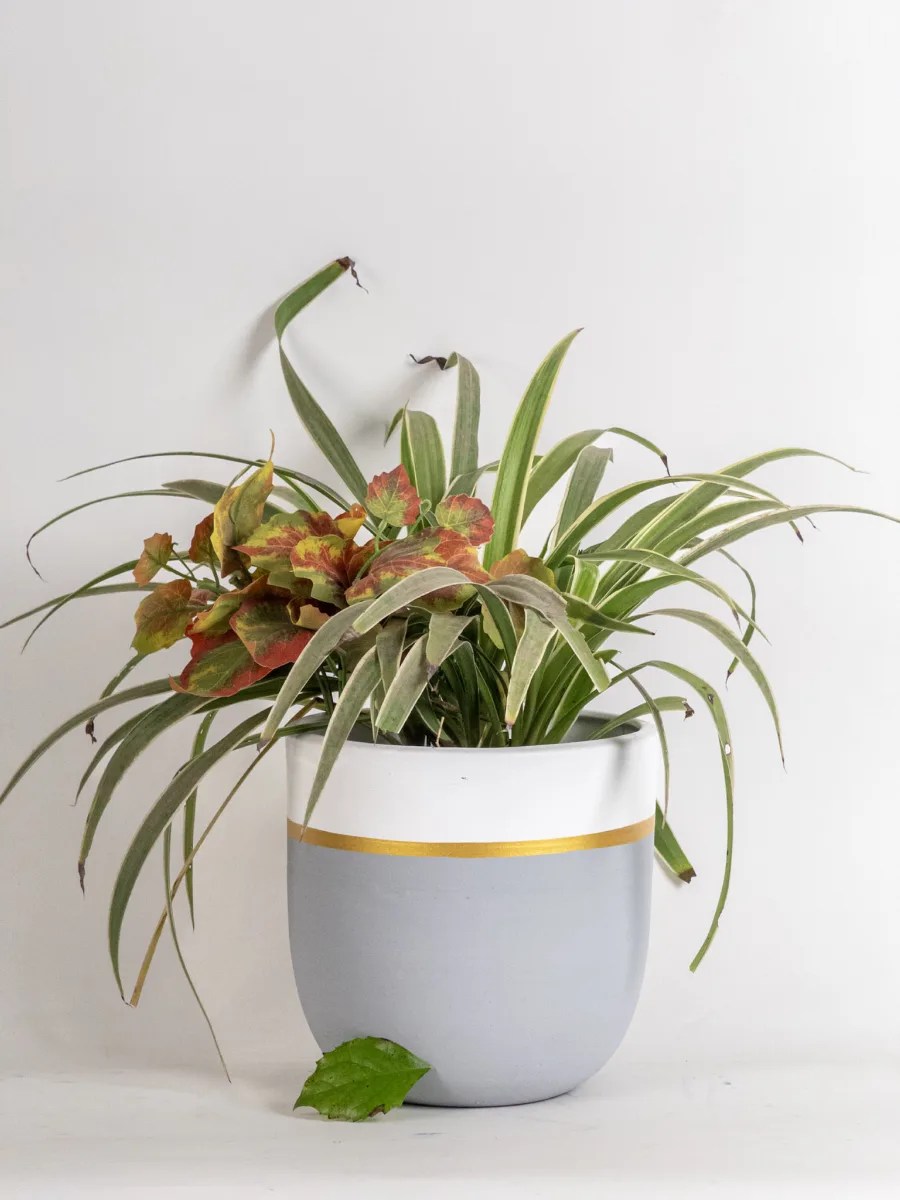 Classic Ceramic Planter — 4" Dia × 3" Height — Primary View