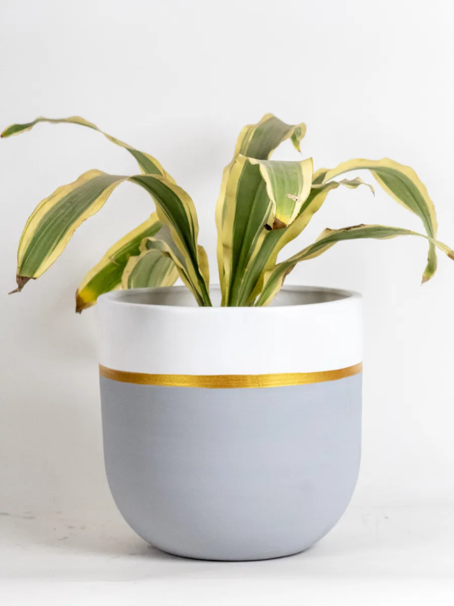 Classic Ceramic Planter — 3.5" Dia × 3" Height — Primary View