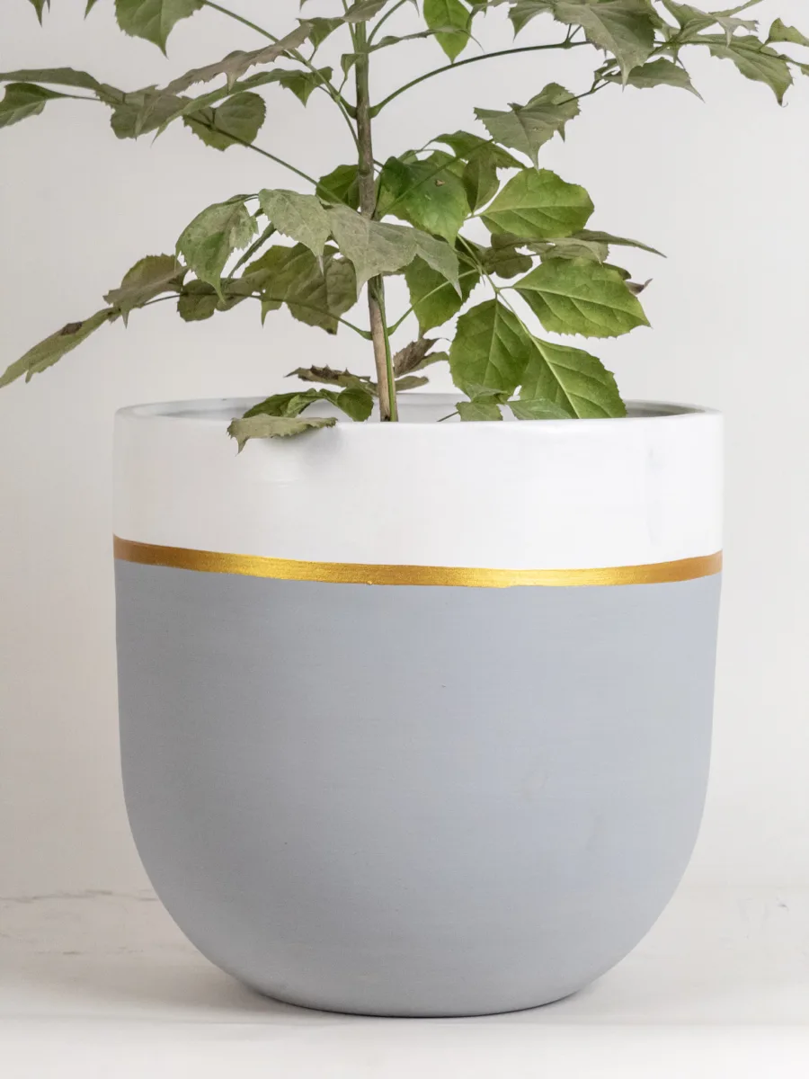 Classic Ceramic Planter — 3.5" Dia × 3" Height — Primary View