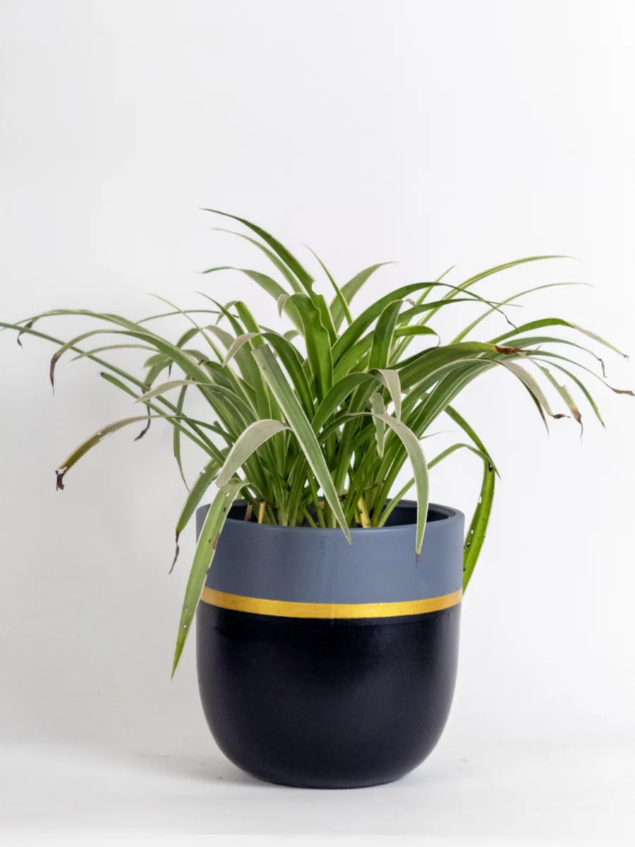 Classic Ceramic Planter — 3.5" Dia × 3" Height — Primary View