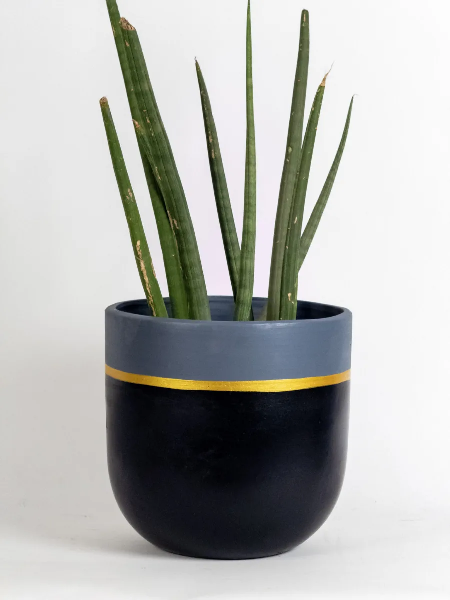 Classic Ceramic Planter — 3.5" Dia × 3" Height — Primary View