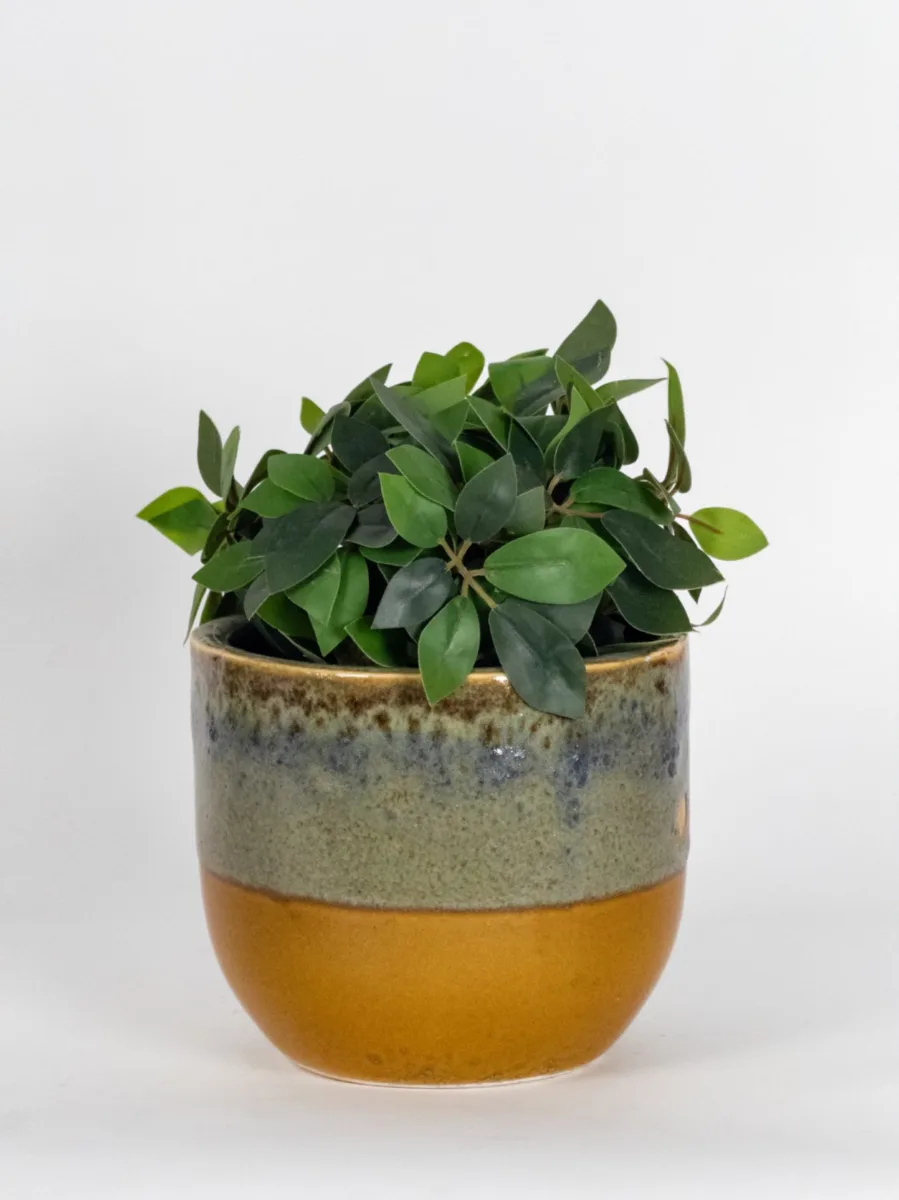 Classic Ceramic Planter — 12" Dia × 12" Height — Primary View