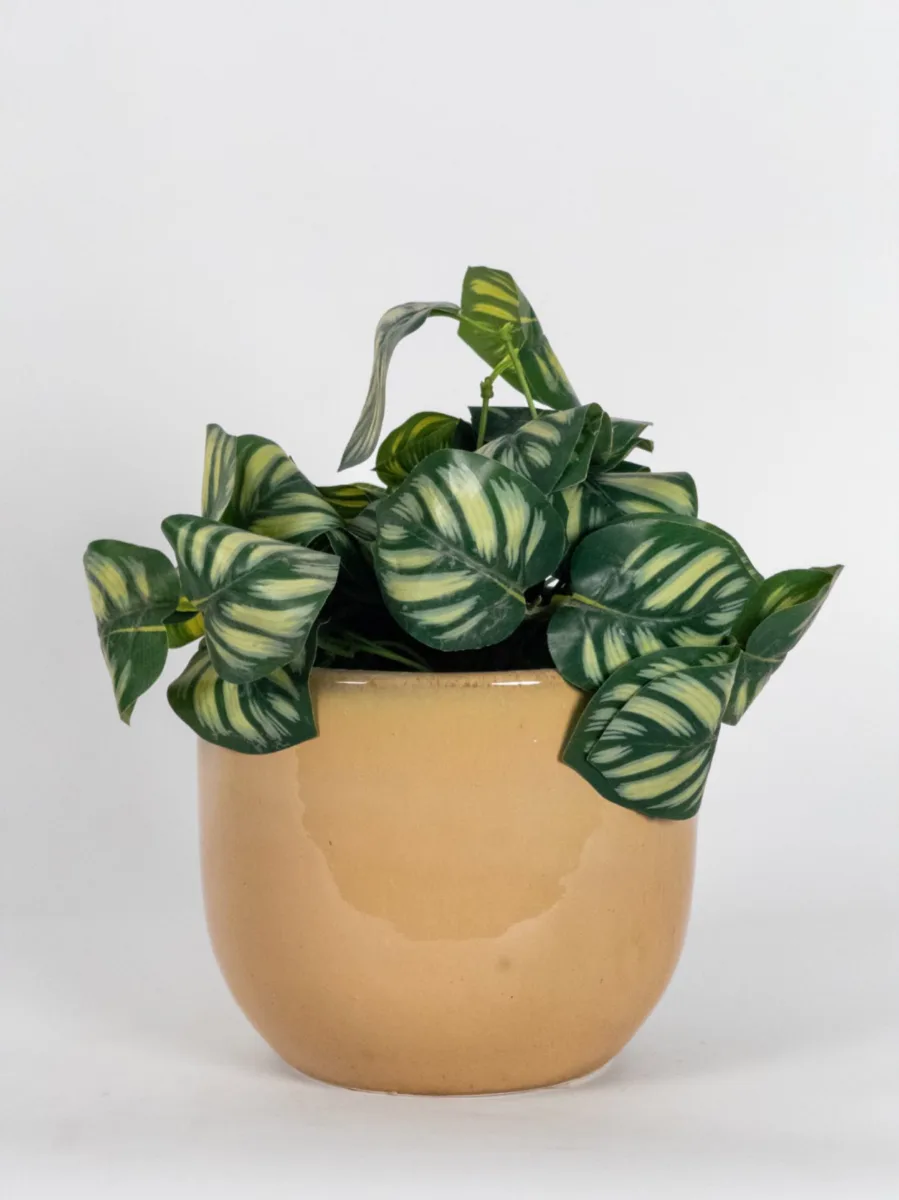 Classic Ceramic Planter — 8" Dia × 8" Height — Primary View