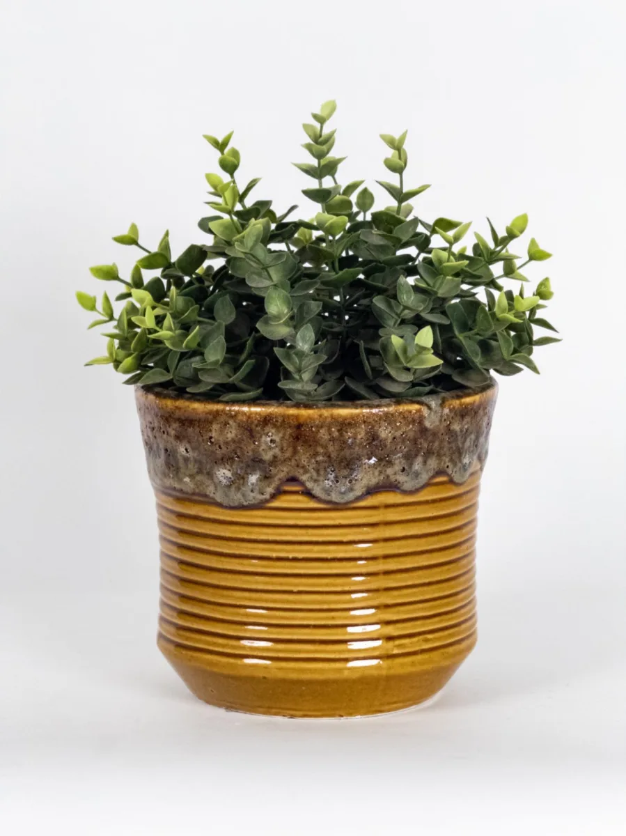 Classic Ceramic Planter — 10" Dia × 10.5" Height — Primary View
