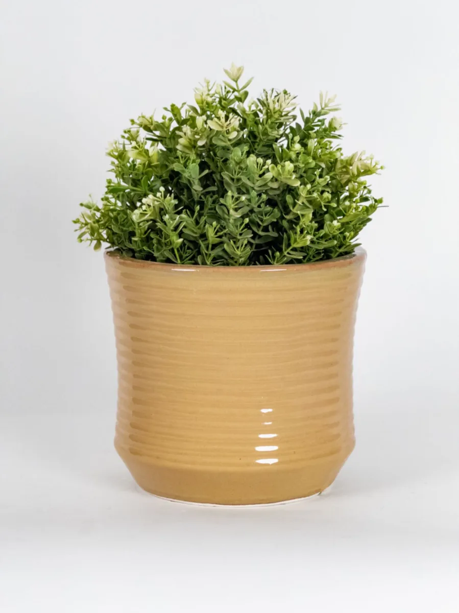 Classic Ceramic Planter — 12" Dia × 12" Height — Primary View