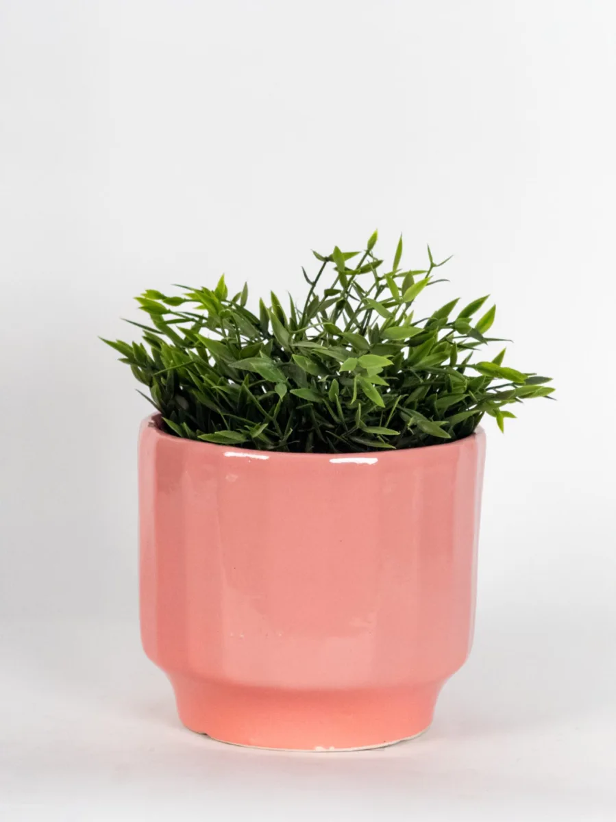 Classic Ceramic Planter — 7" Dia × 6" Height — Primary View