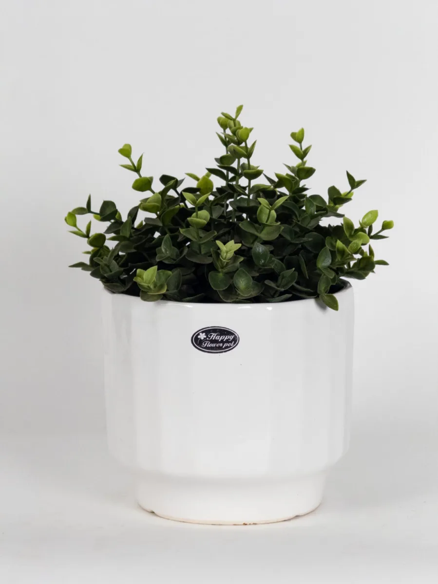 Classic Ceramic Planter — 7" Dia × 6" Height — Primary View