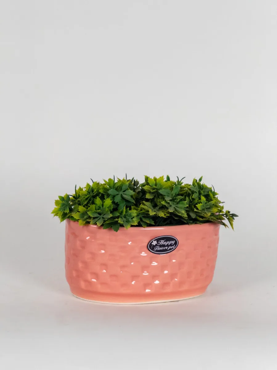 Classic Ceramic Planter — 7" Dia × 6" Height — Primary View