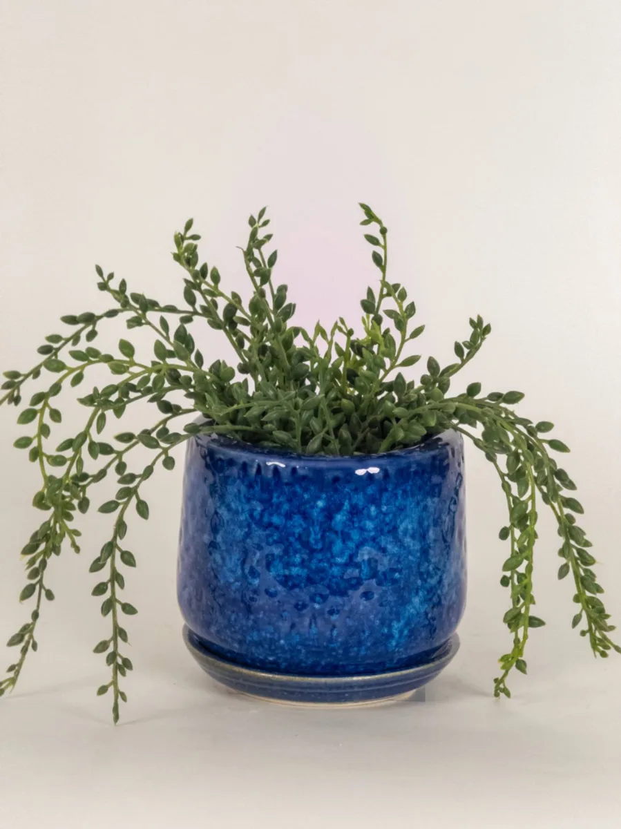 Classic Ceramic Planter — 7" Dia × 6.5" Height — Primary View