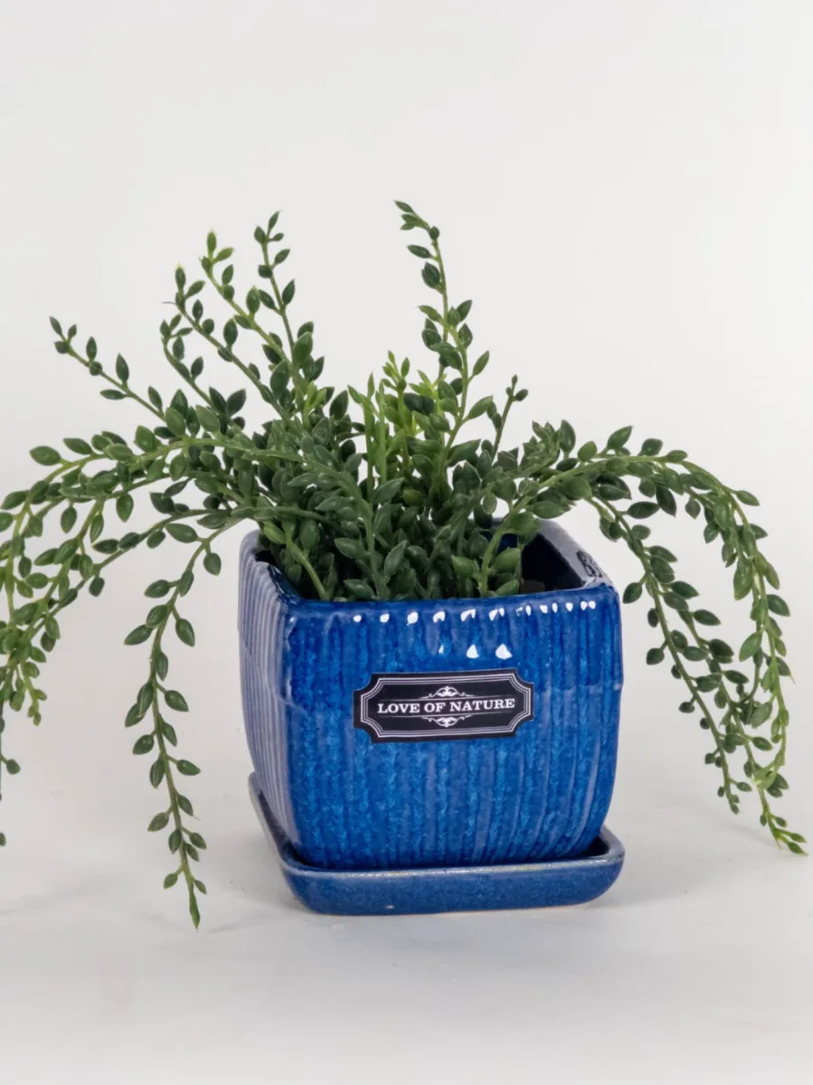 Classic Ceramic Planter — 7" Dia × 6.5" Height — Primary View