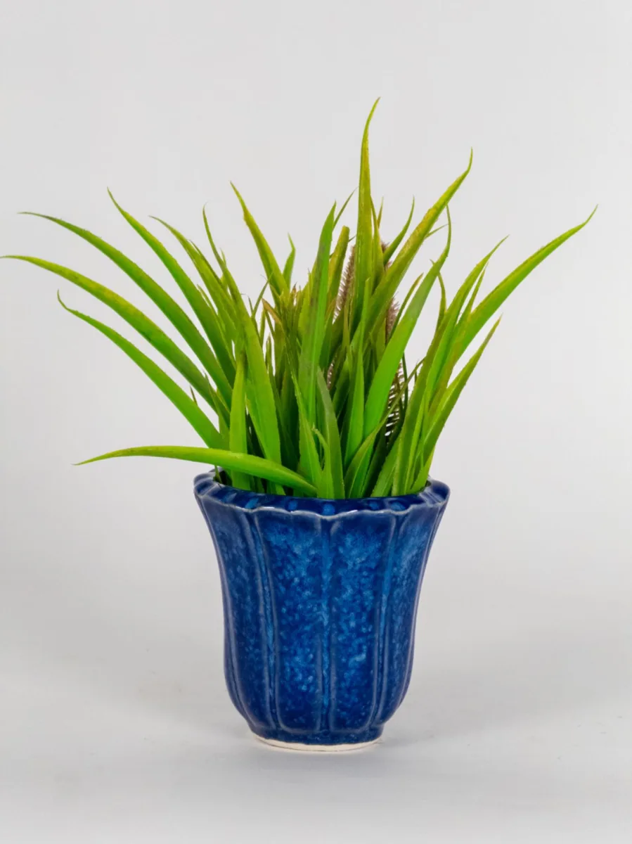 Classic Ceramic Planter — 6" Dia × 3" Height — Primary View