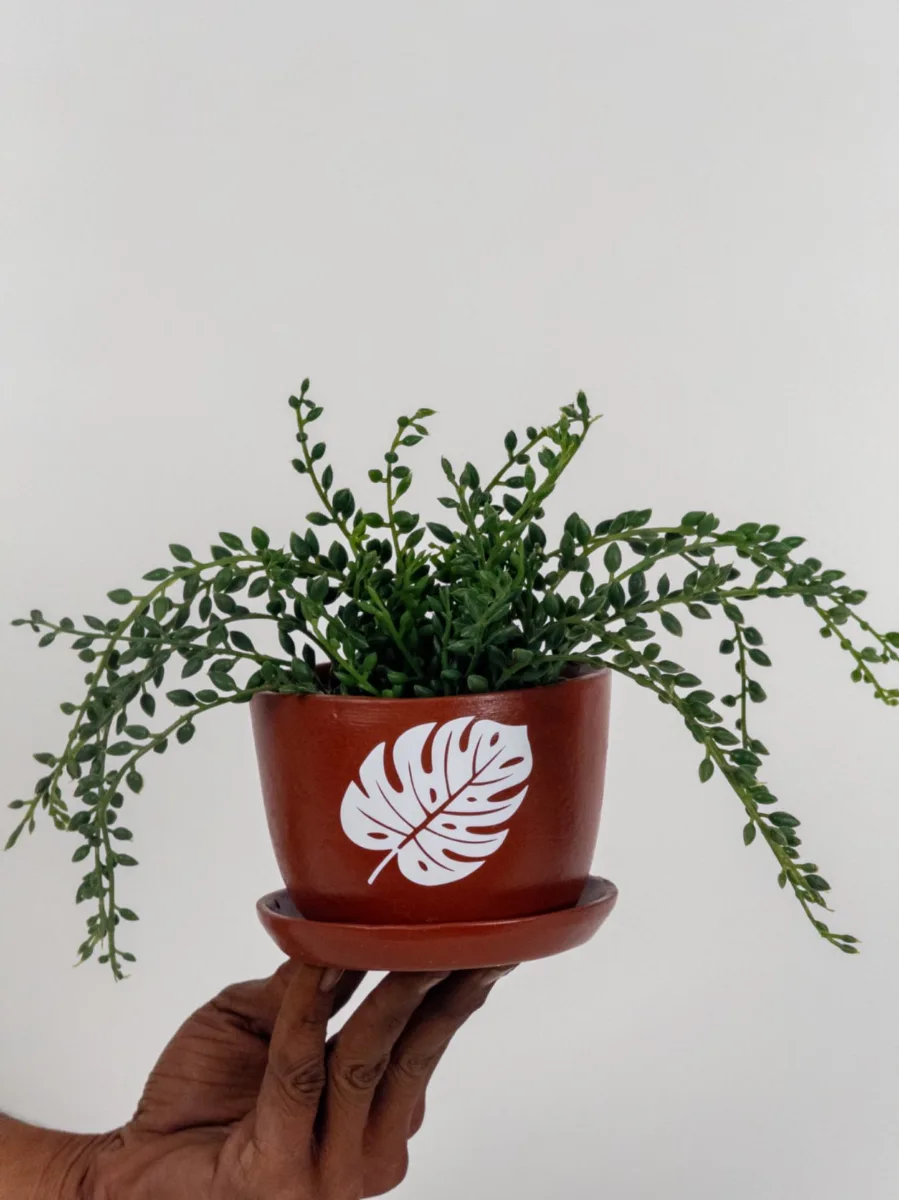 Classic Ceramic Planter — 5" Dia × 4.5" Height — Primary View