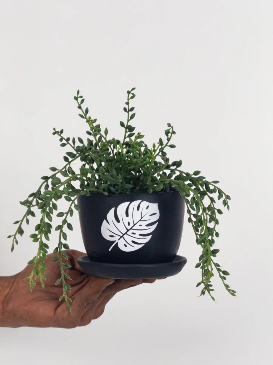 Classic Ceramic Planter — 5" Dia × 5" Height — Primary View