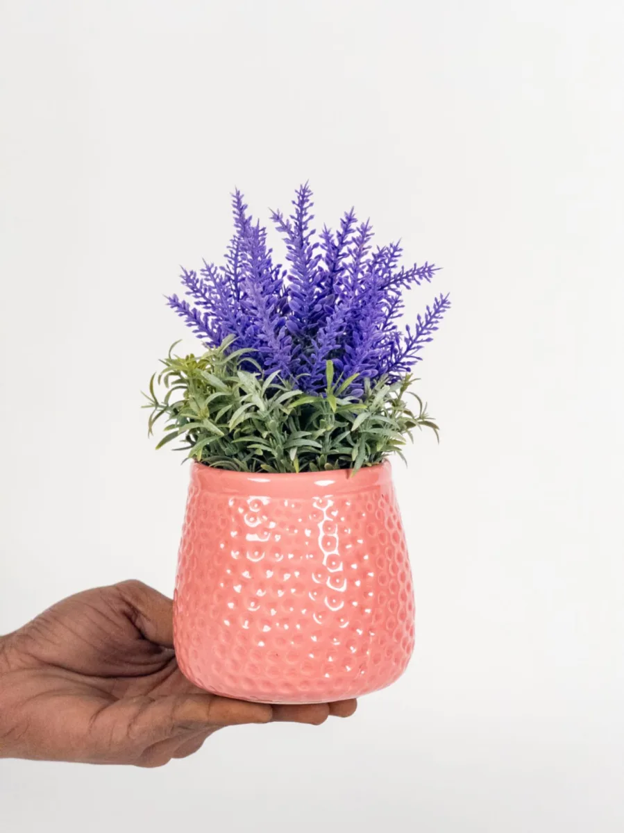 Classic Ceramic Planter — 4.5" Dia × 3.5" Height — Primary View