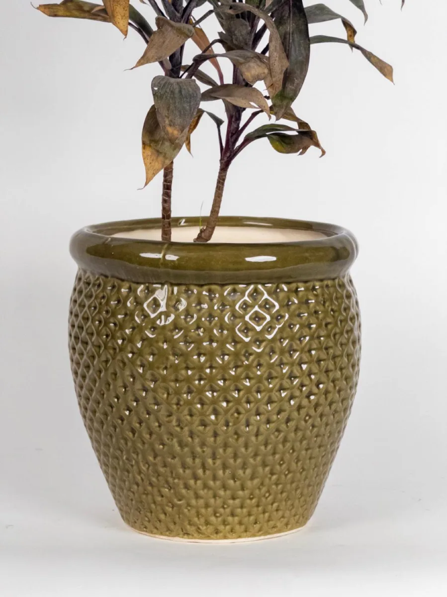 Classic Ceramic Planter — 4" Dia × 4.5" Height — Primary View