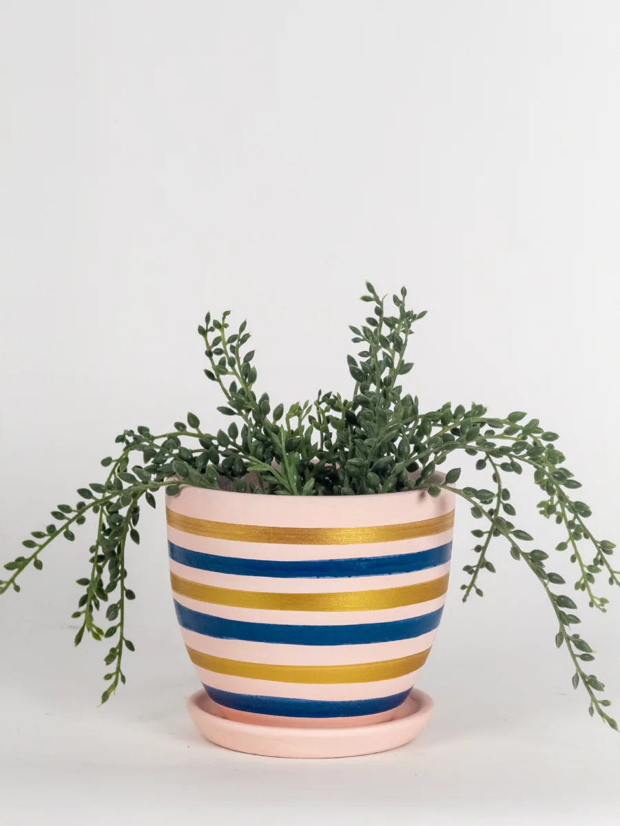 Classic Ceramic Planter — 4" Dia × 4.5" Height — Primary View