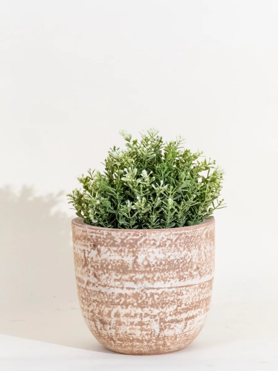Classic Ceramic Planter — 4" Dia × 4" Height — Primary View