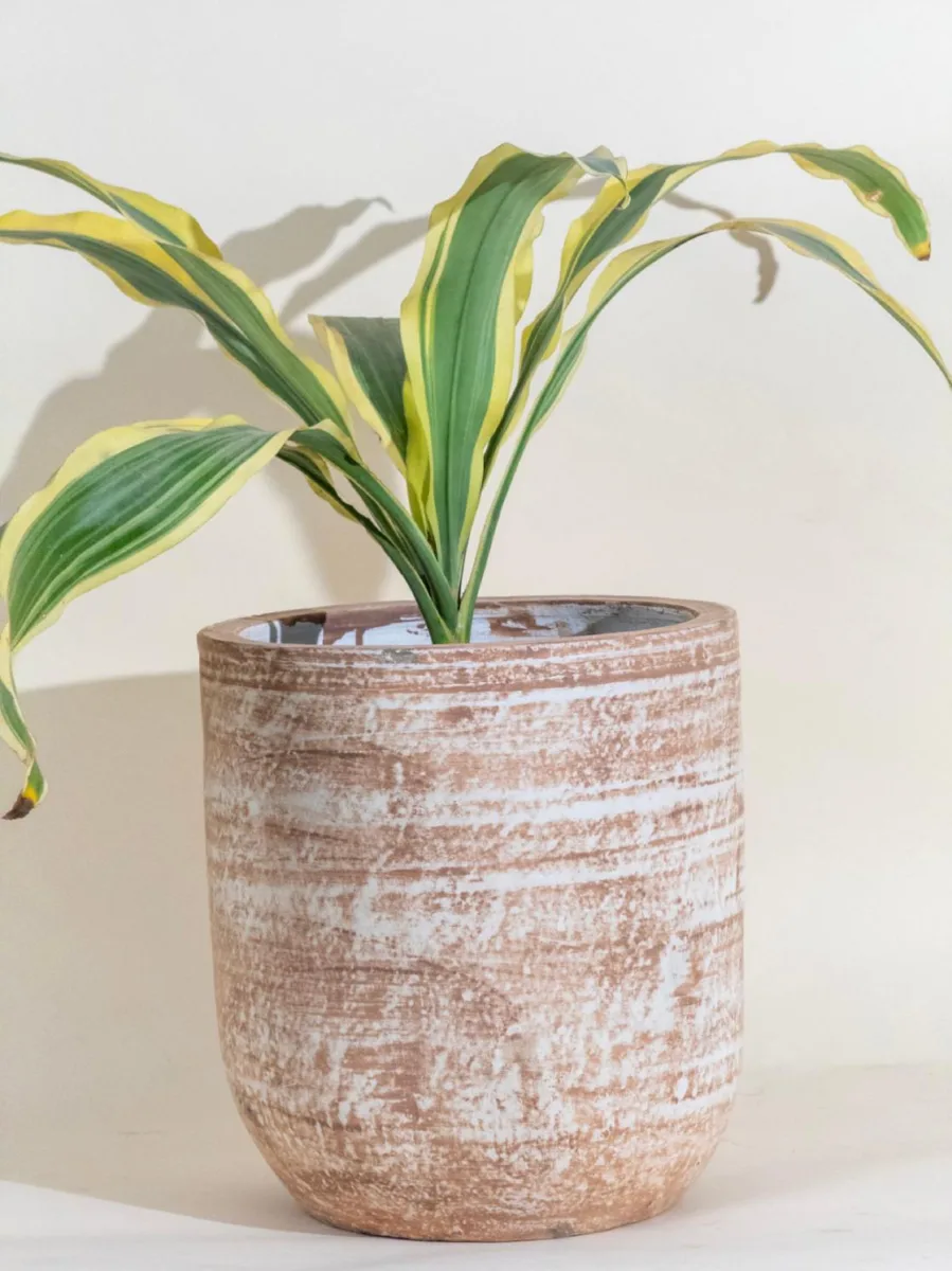 Classic Ceramic Planter — 3" Dia × 4" Height — Primary View