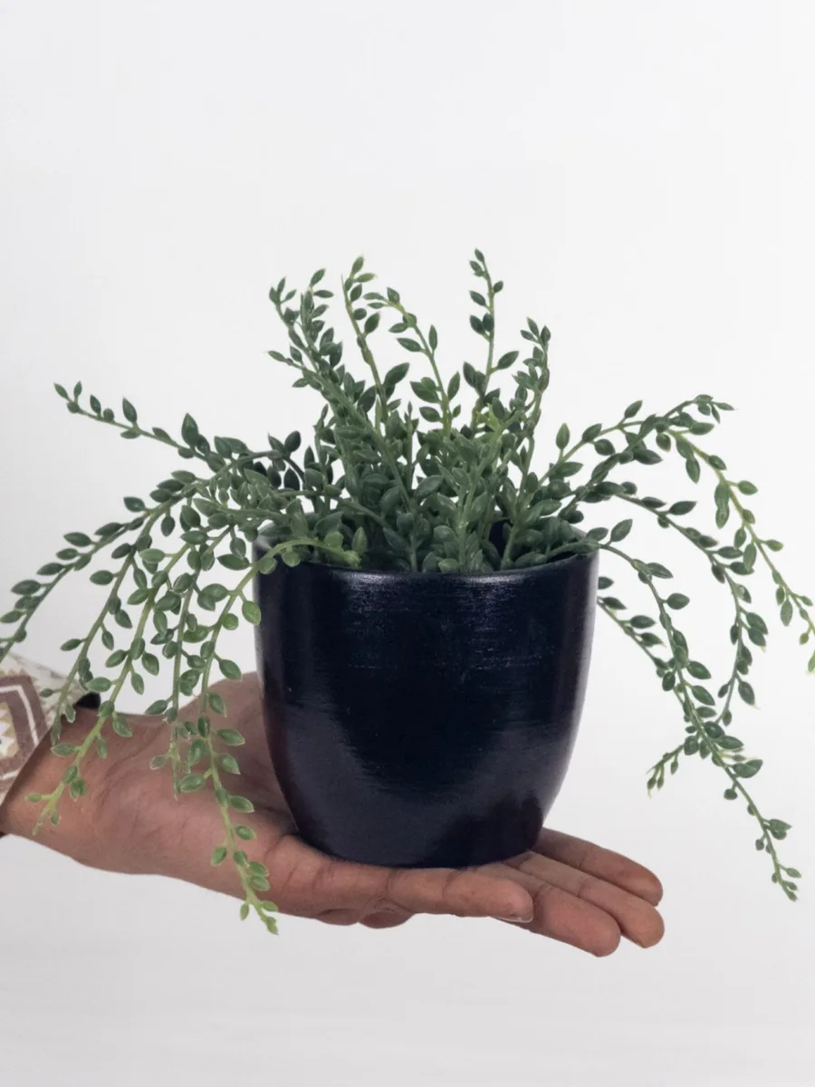 Classic Ceramic Planter — 5" Dia × 4.5" Height — Primary View