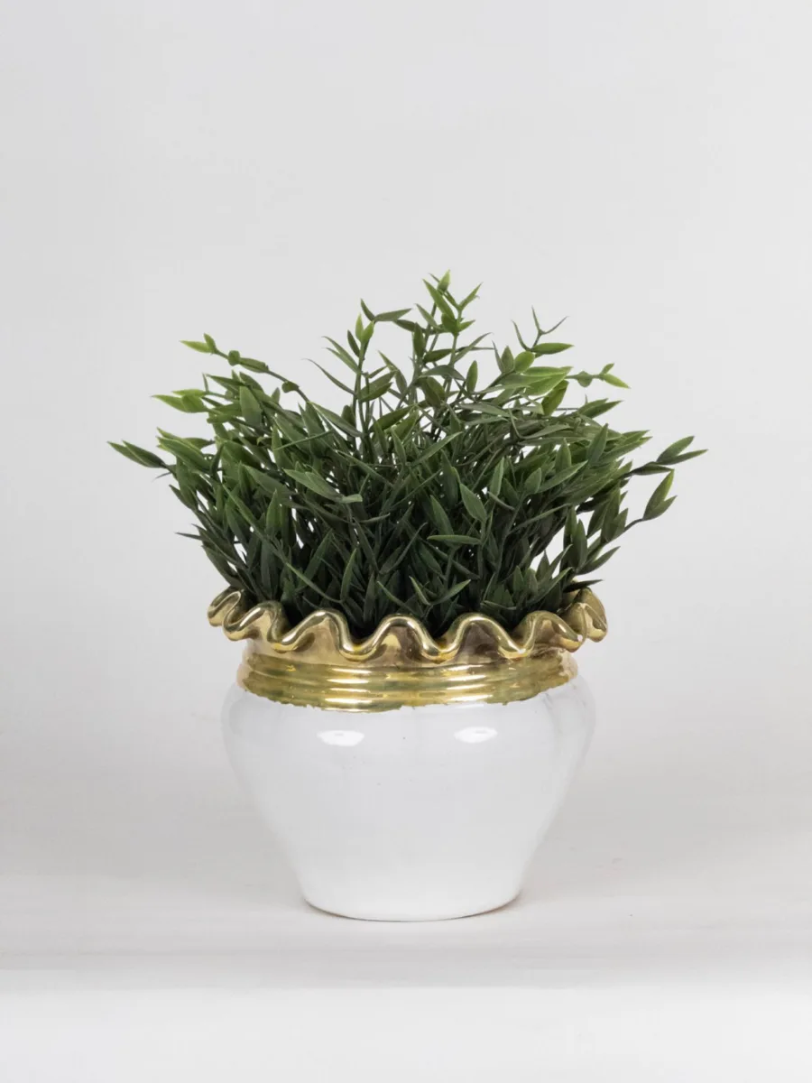 Classic Ceramic Planter — 6" Dia × 6" Height — Primary View