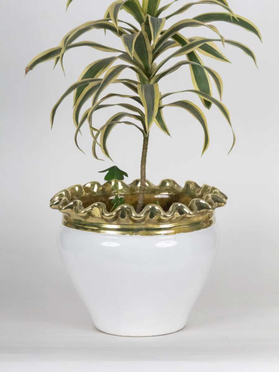Classic Ceramic Planter — 9" Dia × 10" Height — Primary View