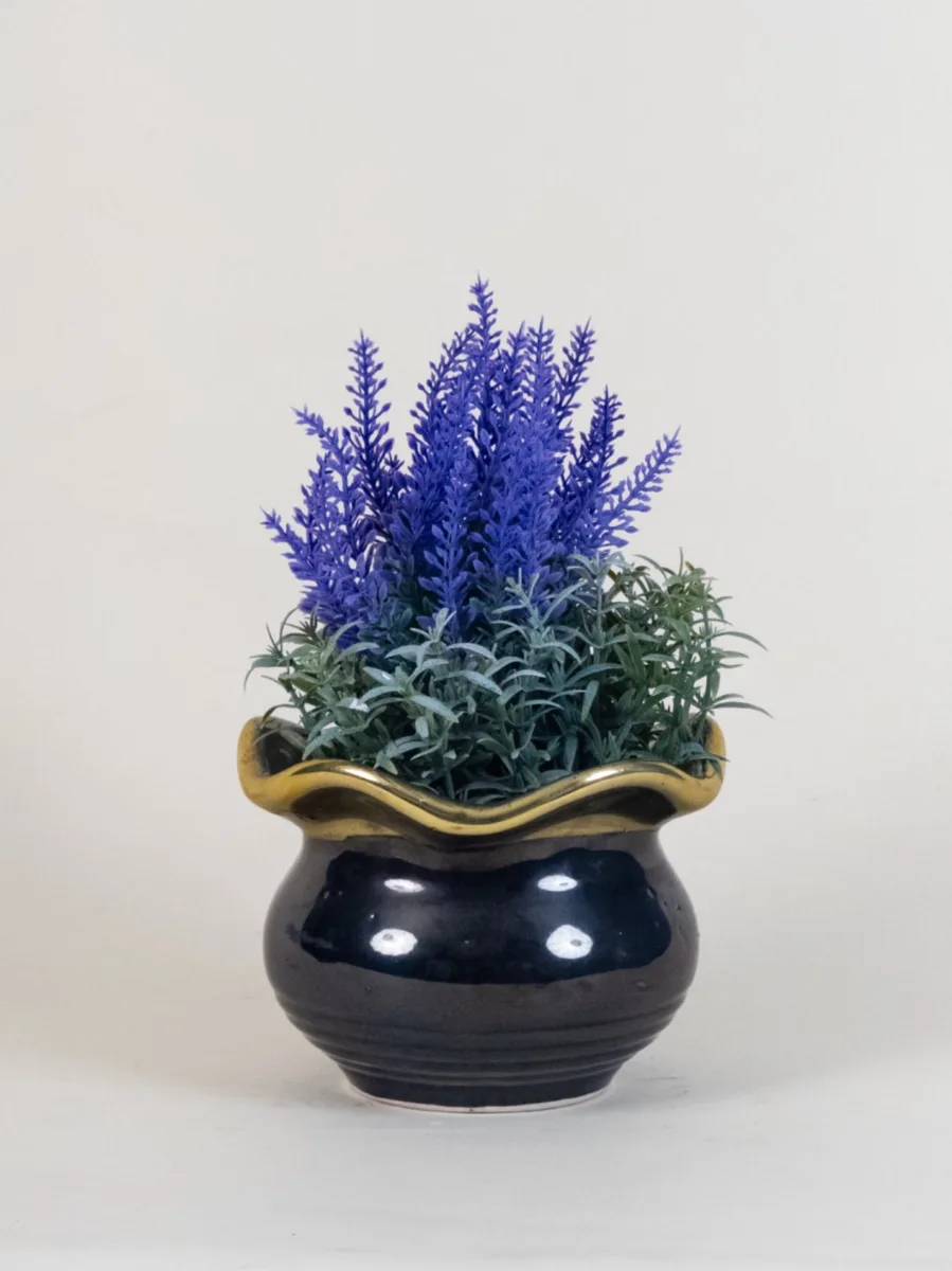 Classic Ceramic Planter — 3.5" Dia × 3.5" Height — Primary View