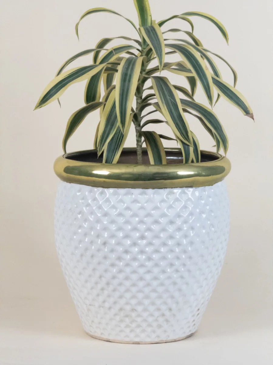 Classic Ceramic Planter — 3" Dia × 3" Height — Primary View