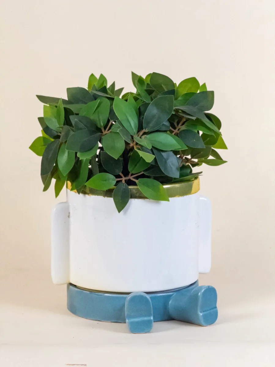 Classic Ceramic Planter — 3" Dia × 3" Height — Primary View