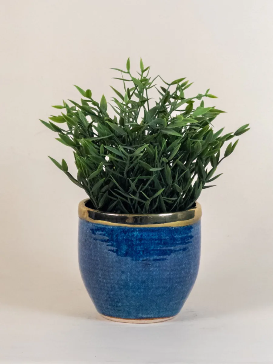 Classic Ceramic Planter — 5.5" Dia × 4" Height — Primary View