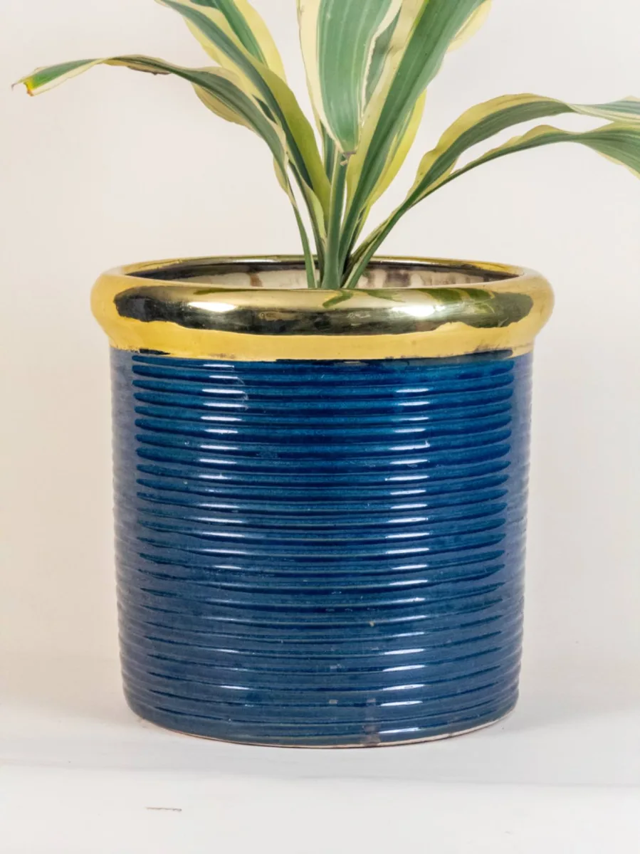 Classic Ceramic Planter — 4.5" Dia × 5" Height — Primary View
