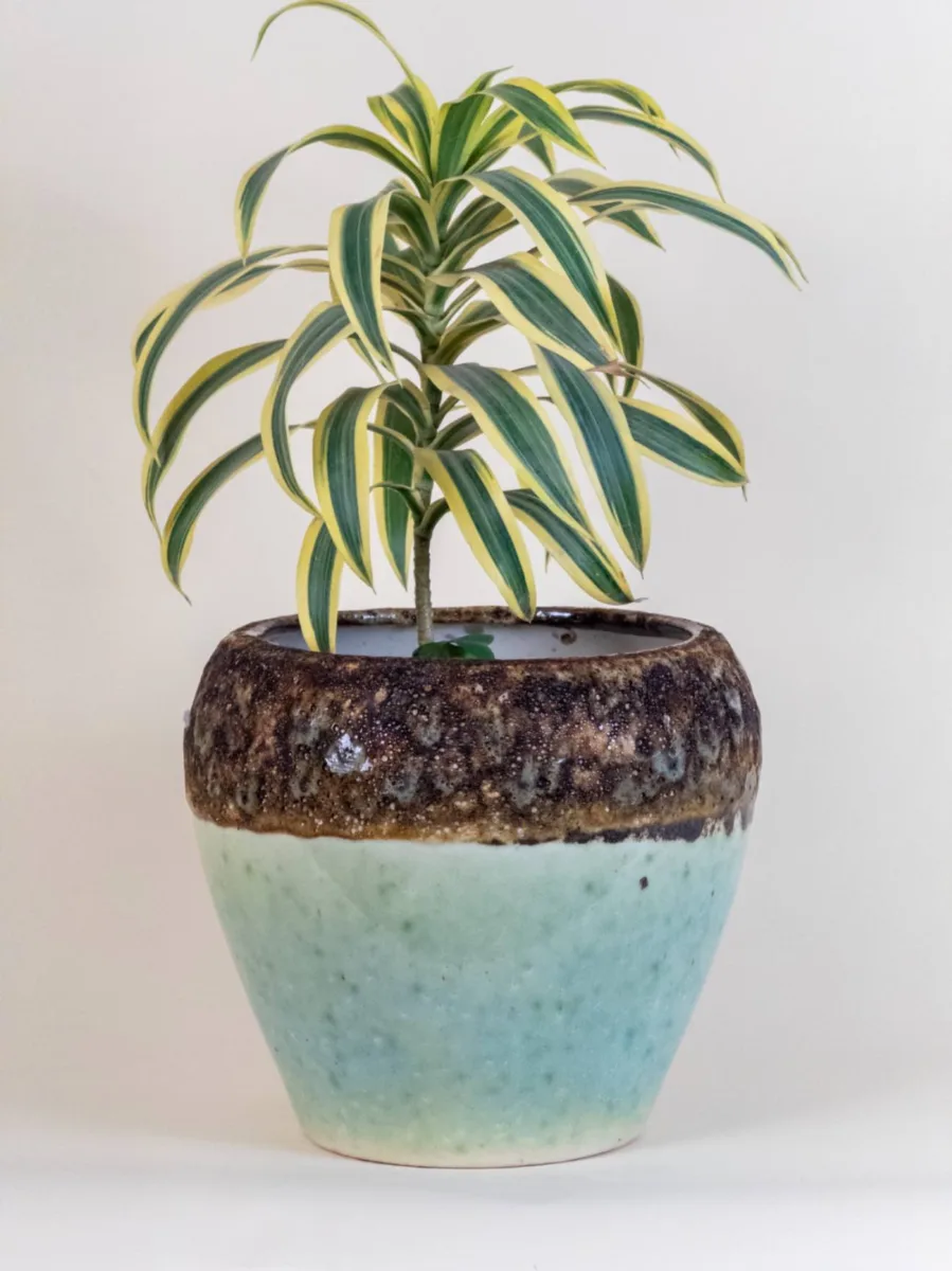 Classic Ceramic Planter — 9" Dia × 8.5" Height — Primary View