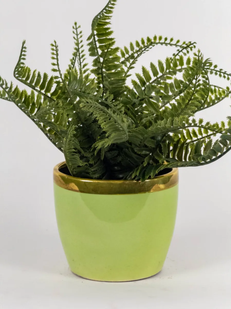 Classic Ceramic Planter — 5" Dia × 5" Height — Primary View