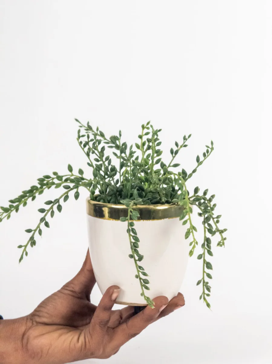 Classic Ceramic Planter — 11" Dia × 11" Height — Primary View