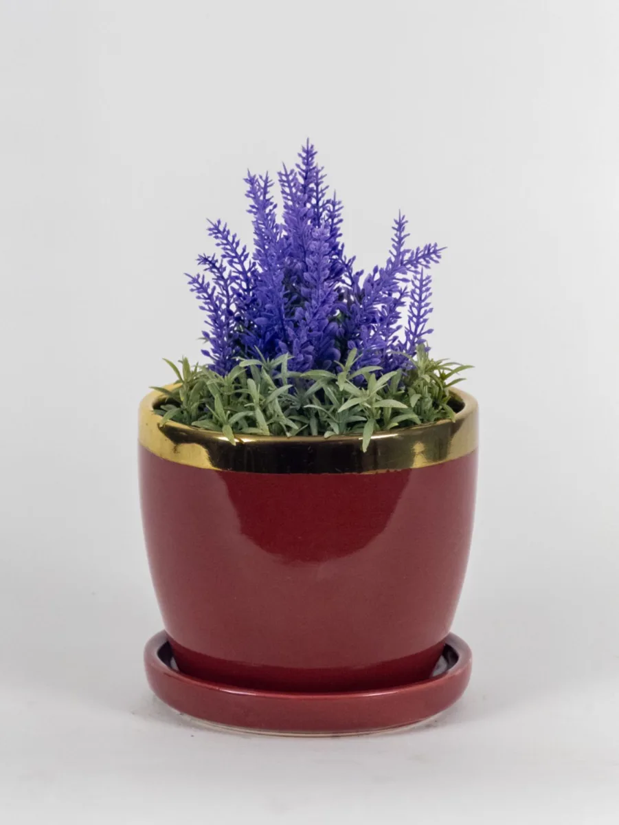 Classic Ceramic Planter — 8" Dia × 8" Height — Primary View
