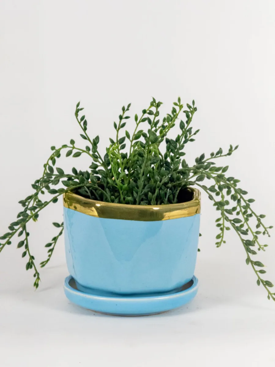 Classic Ceramic Planter — 4" Dia × 4" Height — Primary View
