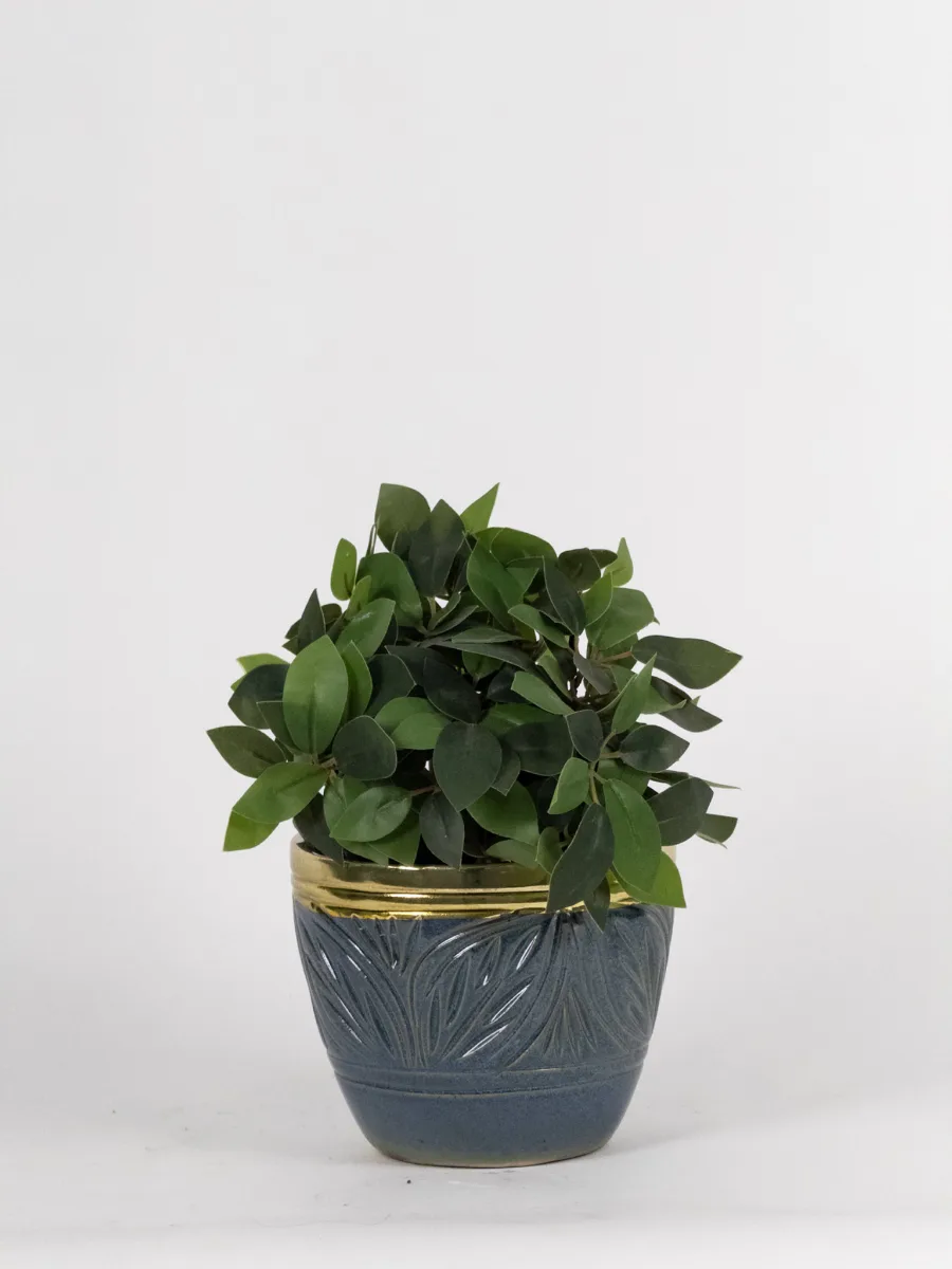 Classic Ceramic Planter — 5" Dia × 5" Height — Primary View
