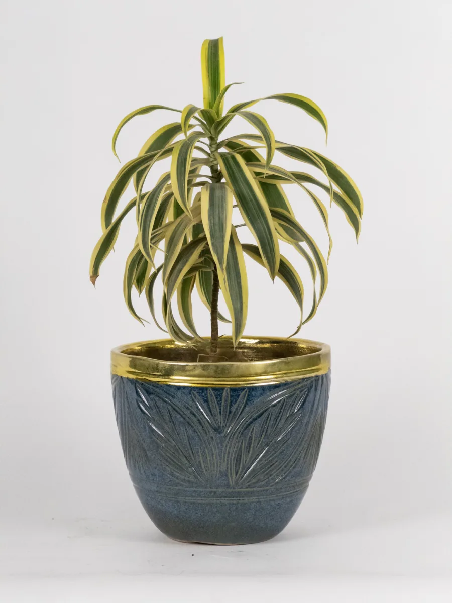 Classic Ceramic Planter — 4" Dia × 5" Height — Primary View
