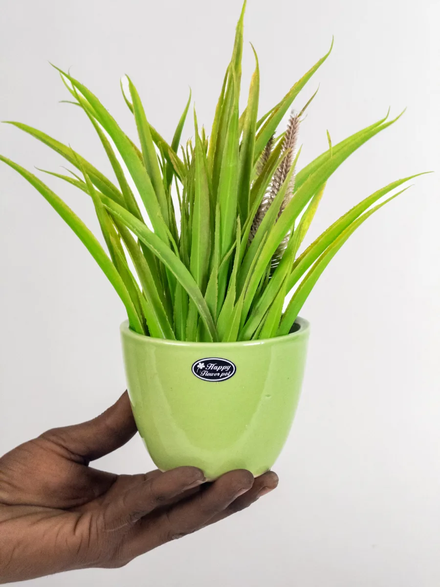 Classic Ceramic Planter — 5" Dia × 4" Height — Primary View