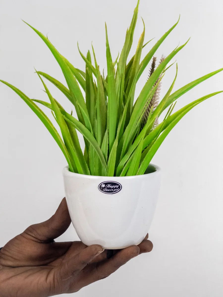 Classic Ceramic Planter — 5" Dia × 4" Height — Primary View