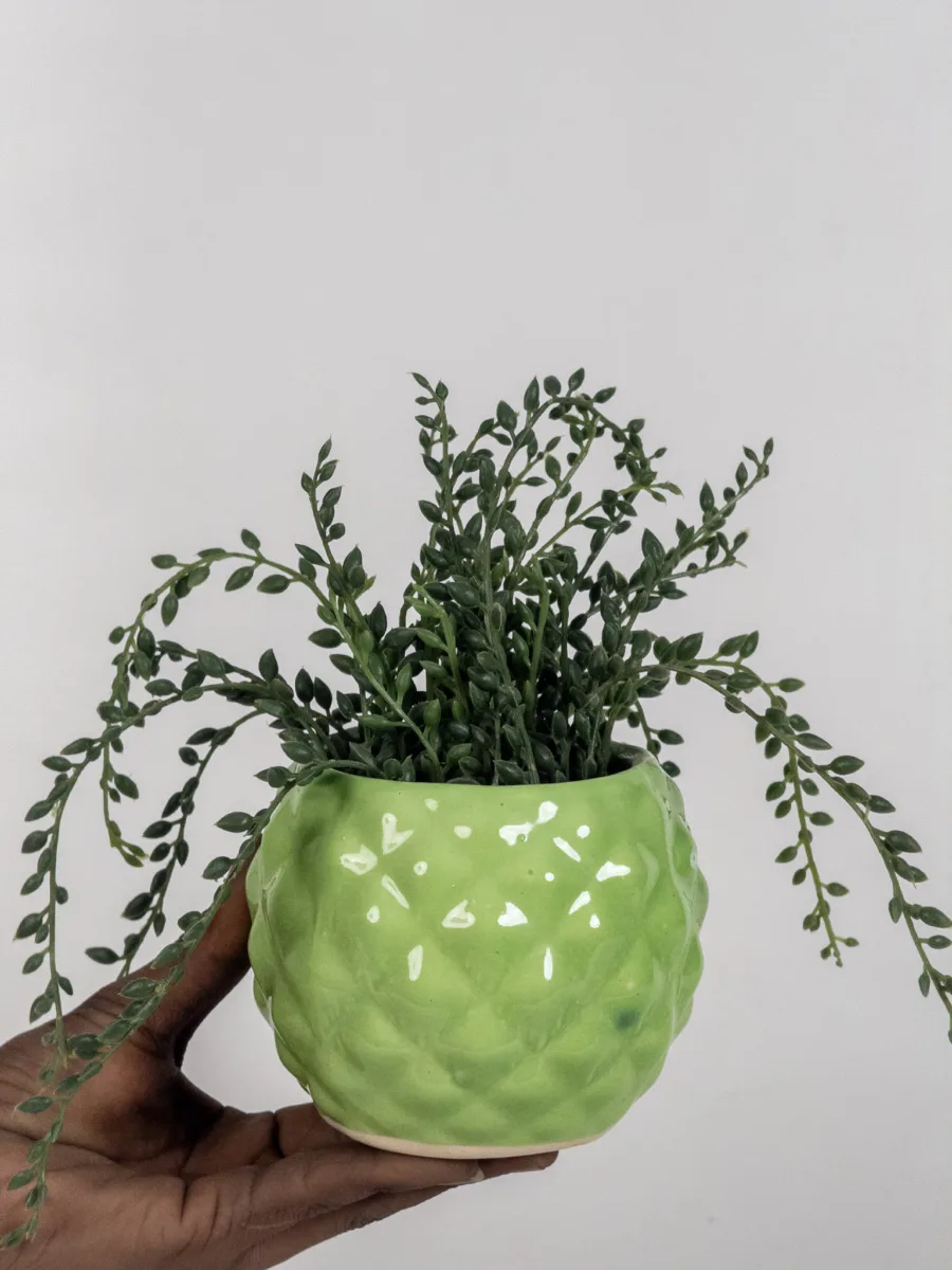 Classic Ceramic Planter — 6.5" Dia × 5" Height — Primary View