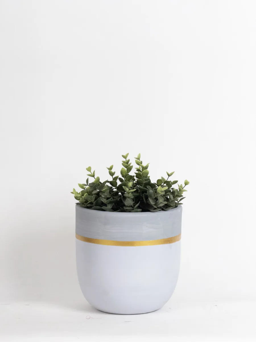 Classic Ceramic Planter — 5.5" Dia × 5.5" Height — Primary View