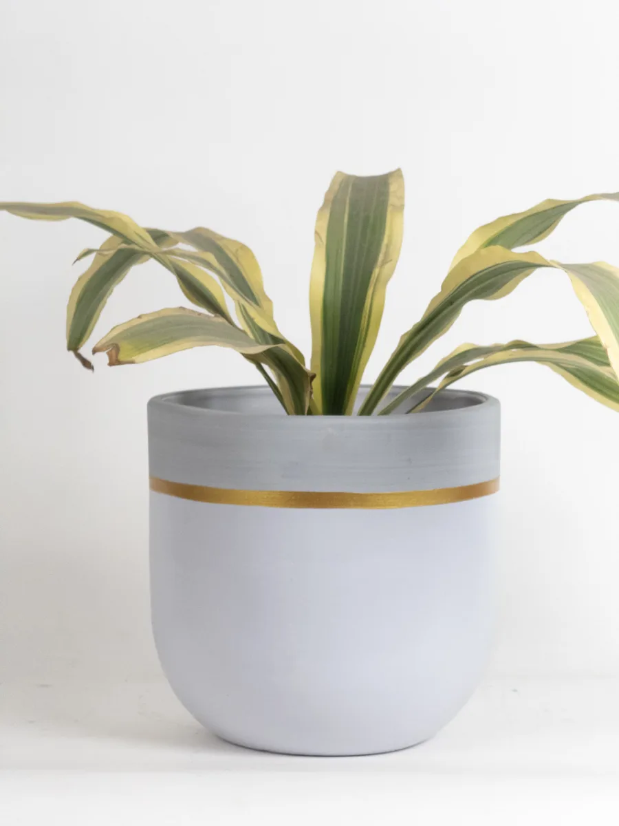 Classic Ceramic Planter — 3.5" Dia × 3" Height — Primary View